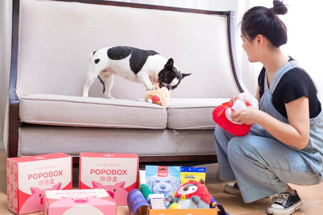 dog-gets-a-toy-from-a-box-with-its-owner-imusbn6ghww